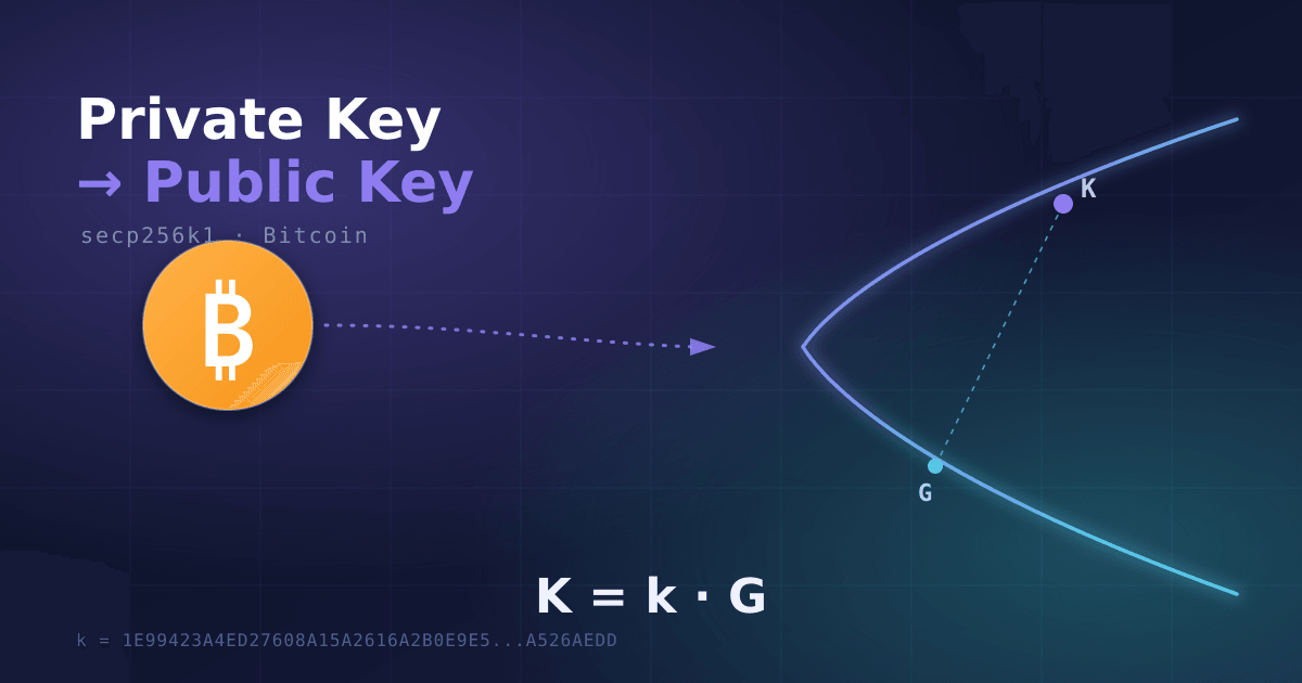 Penjelasan langkah demi langkah bagaimana private key Bitcoin menghasilkan public key lewat kurva eliptik secp256k1 — lengkap dengan matematika dan kode Python yang bisa dijalankan.
